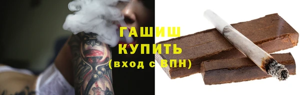 стаф Каменногорск