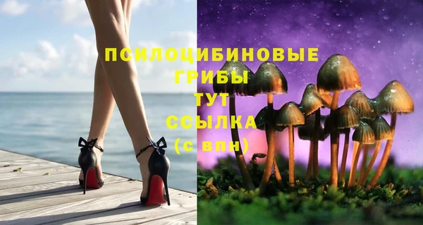 кокс Алзамай
